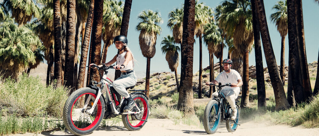 electric bike fat tire